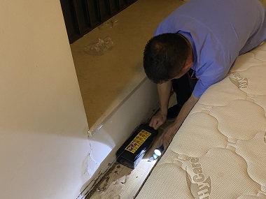 金沙洲白蚁防治所住宅这样做能够避免白蚁侵扰